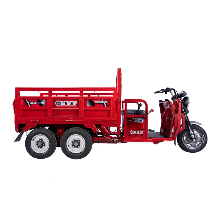 
Double Rear Axle Electric Tricycle Vehicle Heavy Loading Cargo Tricycle 