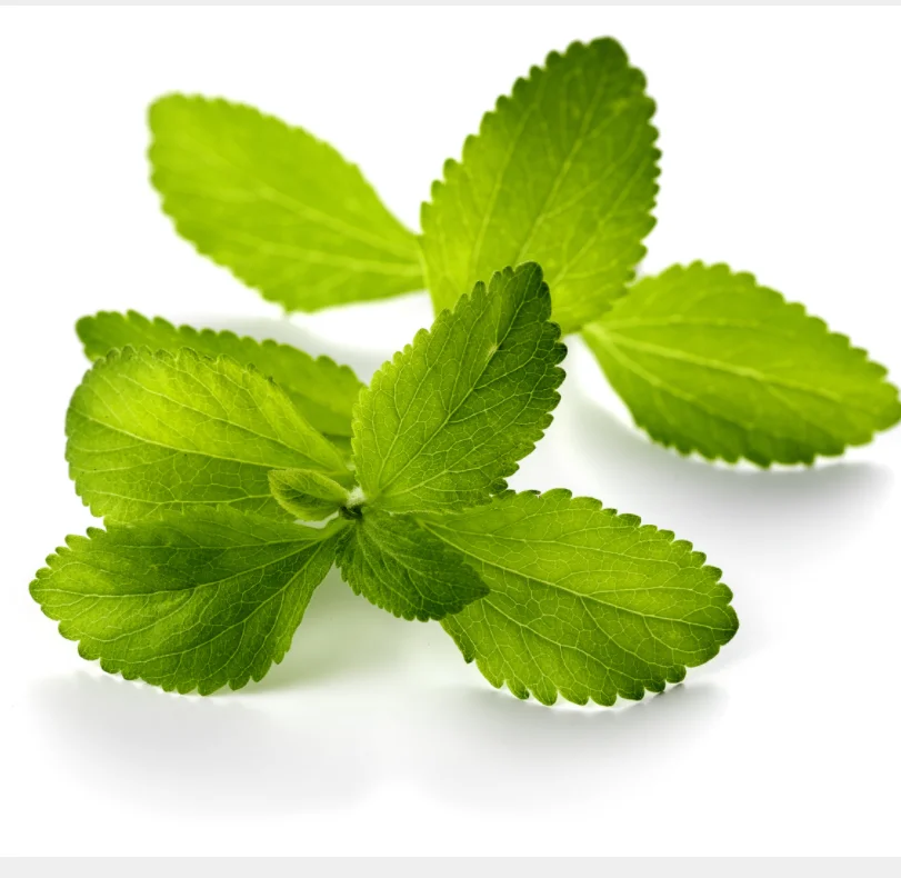 Sweetener Stevia High Quality pure Stevia Leaf powder Extract Stevioside Powder