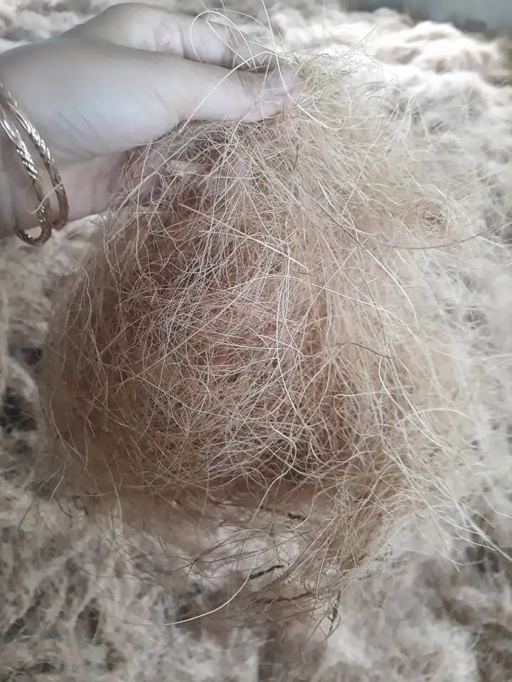 HOT SALE COCONUT FIBER/COCONUT FIBER NET/COCONUT CARPET  FROM VIET NAM WHATSAPP +84986399409