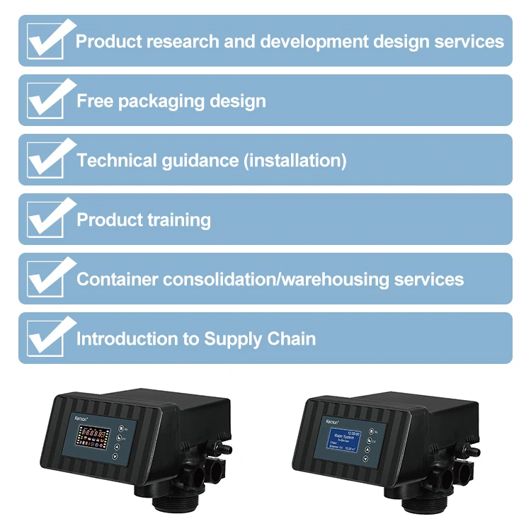 [ASB2-C] Water Treatment System 2m3/h Automatic Time Meter Runxin Double Tank Softener Control Valve