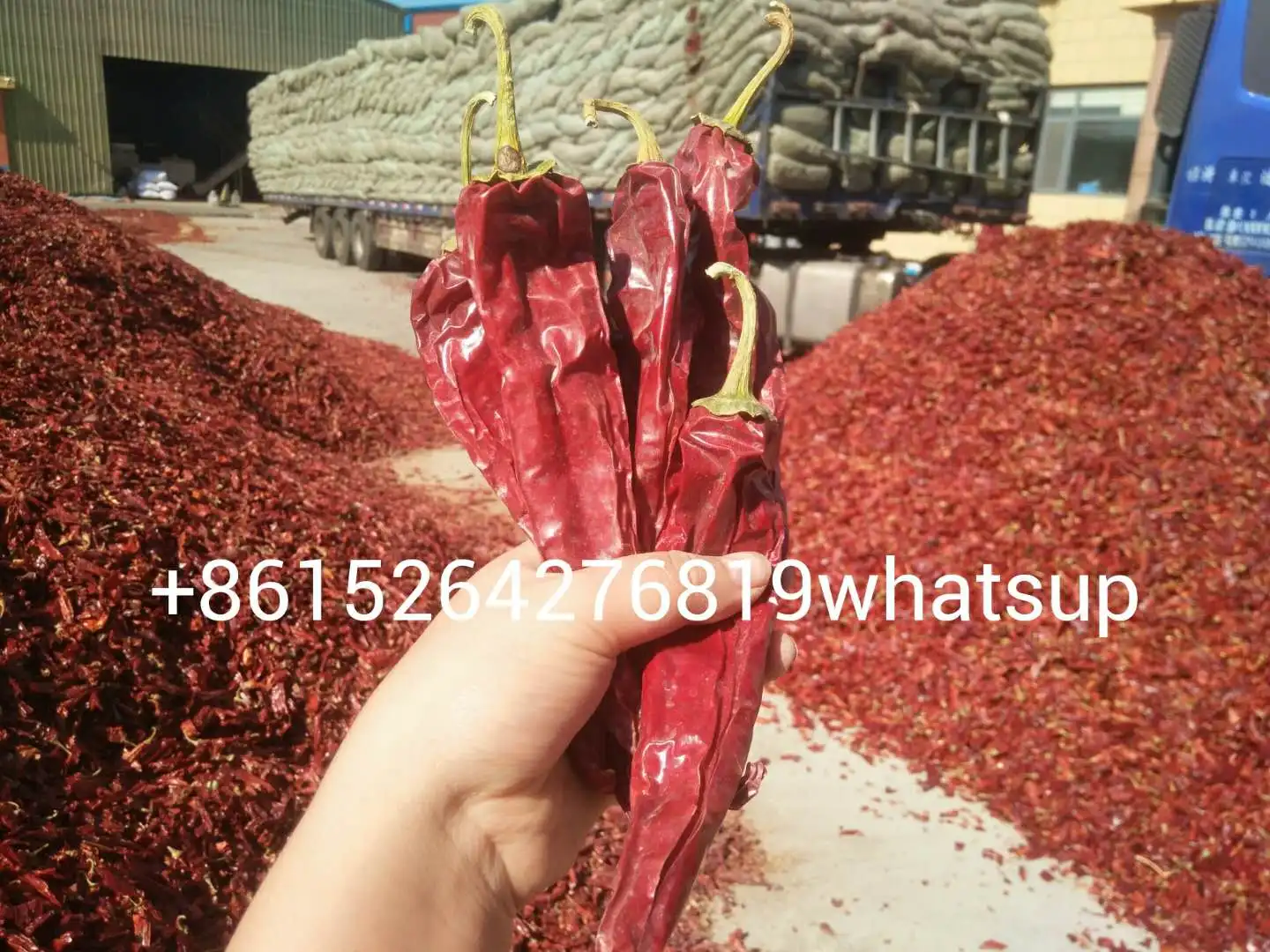Spain Hungrain Style Paprika Paprika Pods Red Pepper Pods and Red Repper Rowder 8615264276819whatsup