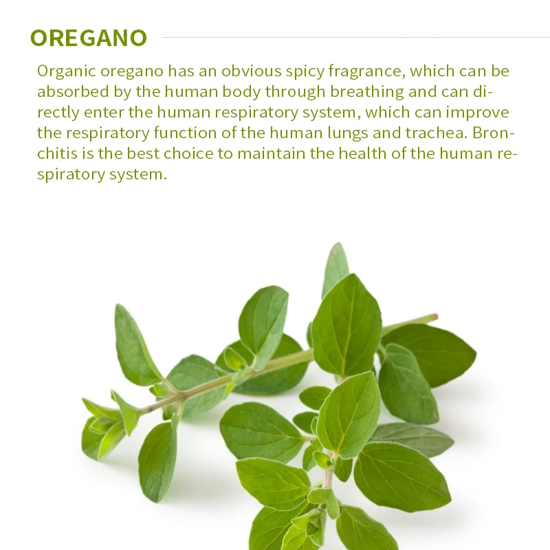 
Private label 100% Pure Oregano Essential oil with 90% carvacrol For forage making ingredients 