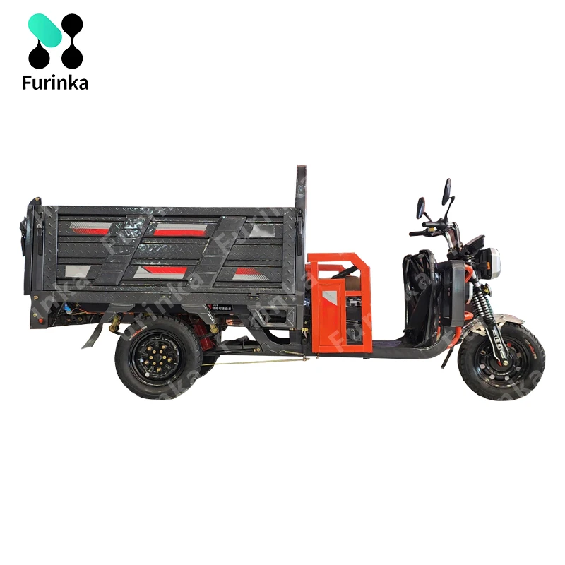 1200w Two Seats Motorized Pedal Petrol Cheap Electricycle Adult Passenger Vehicles Three Wheel Cargo Tricycle