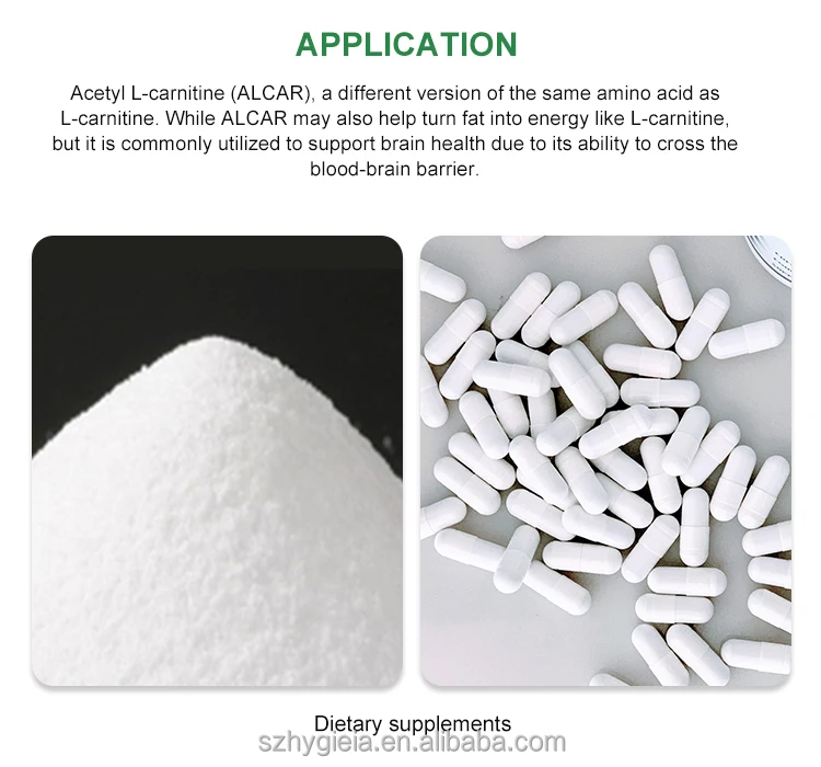 Top quality Health care supplement L-Carnitine weight loss products Acetyl L-Carnitine 99% for brain health