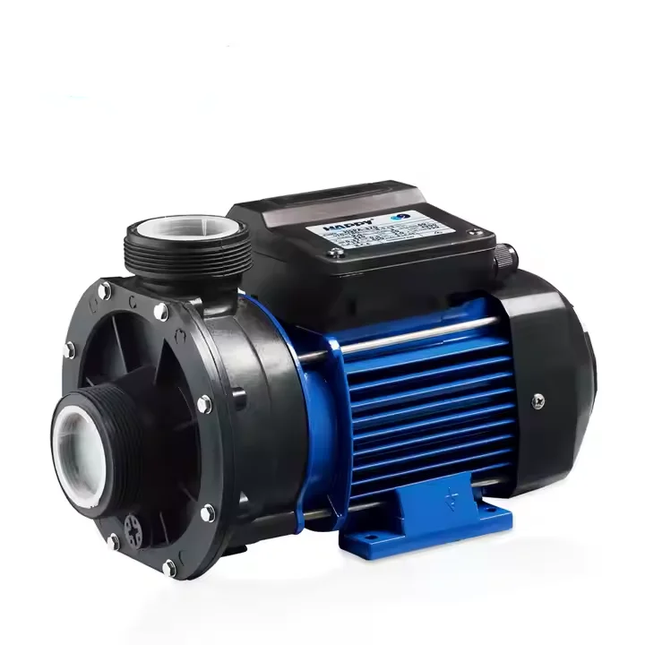 Electric 0.5 0.75hp water motor variable speed swimming pool pump for sale