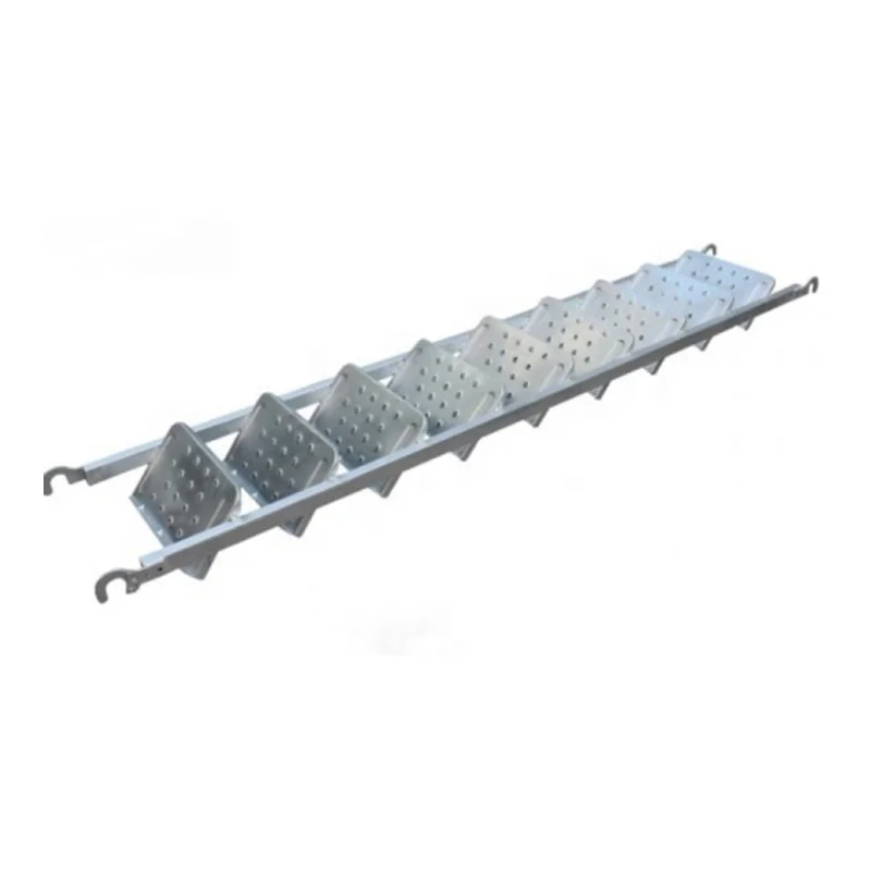 Customizable Sizes Available in Our Range of Scaffold Steel Ladder