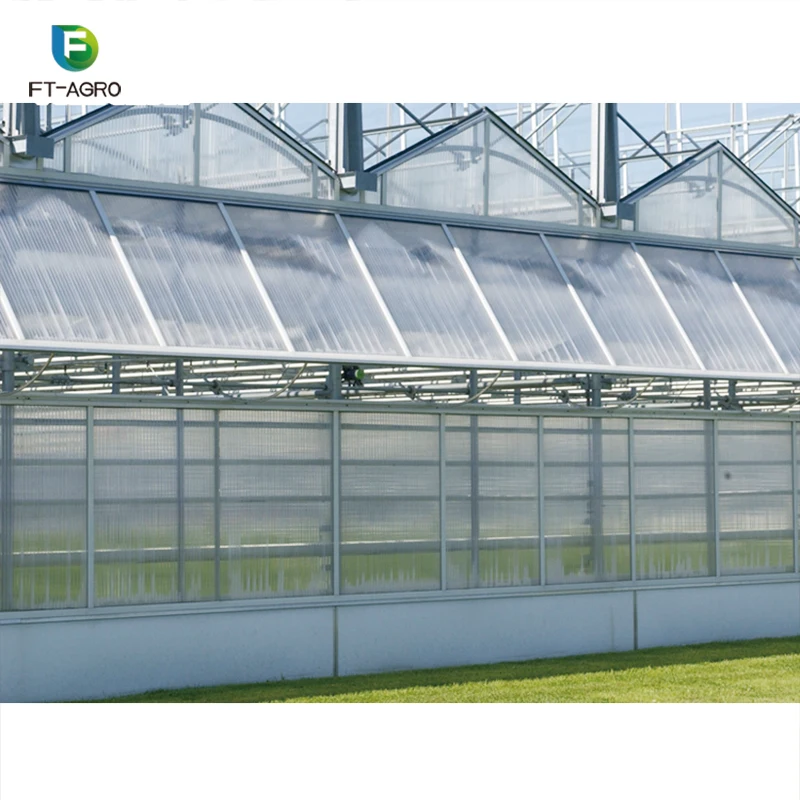 Greenhouse PC sheet vegetable production complete  greenhouses china