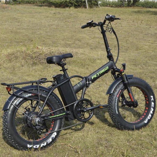 Electric Fat Bike Foldable City Bike Light Weight Women E bikes with 20inch Tire