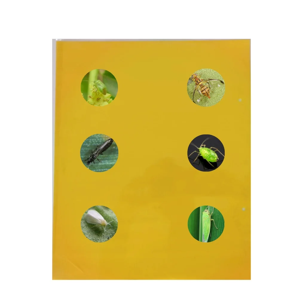 Top Selling Insect Sticky Trap Pest Control With Super Glue 20*25 cm For Greenhouses Orchards
