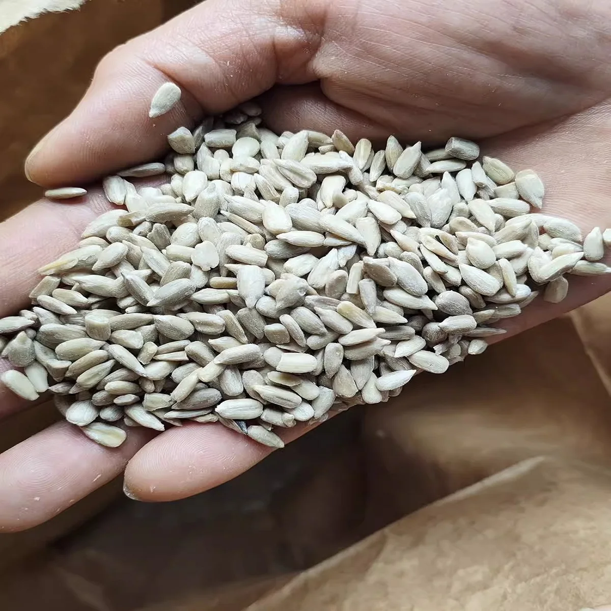 High Quality Organic Sunflower Seeds for Sale Original Flavor Roasted Kernels for Edible