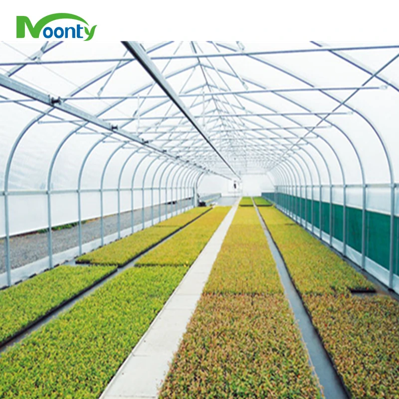 Greenhouse Made in China Tunnel Hoop House Agricultural Greenhouse