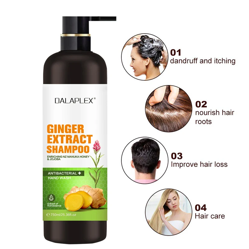 OEM Ginger Anti Hair Loss shampoo Make Hair Stronger Thicker hair growth Treatment Shampoo