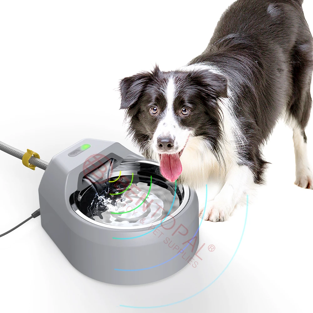 Automatic Dog Water Bowl Dispenser, Cat Drinking Fountain, Intelligent Motion Sensor for Refilling, Metal Hose