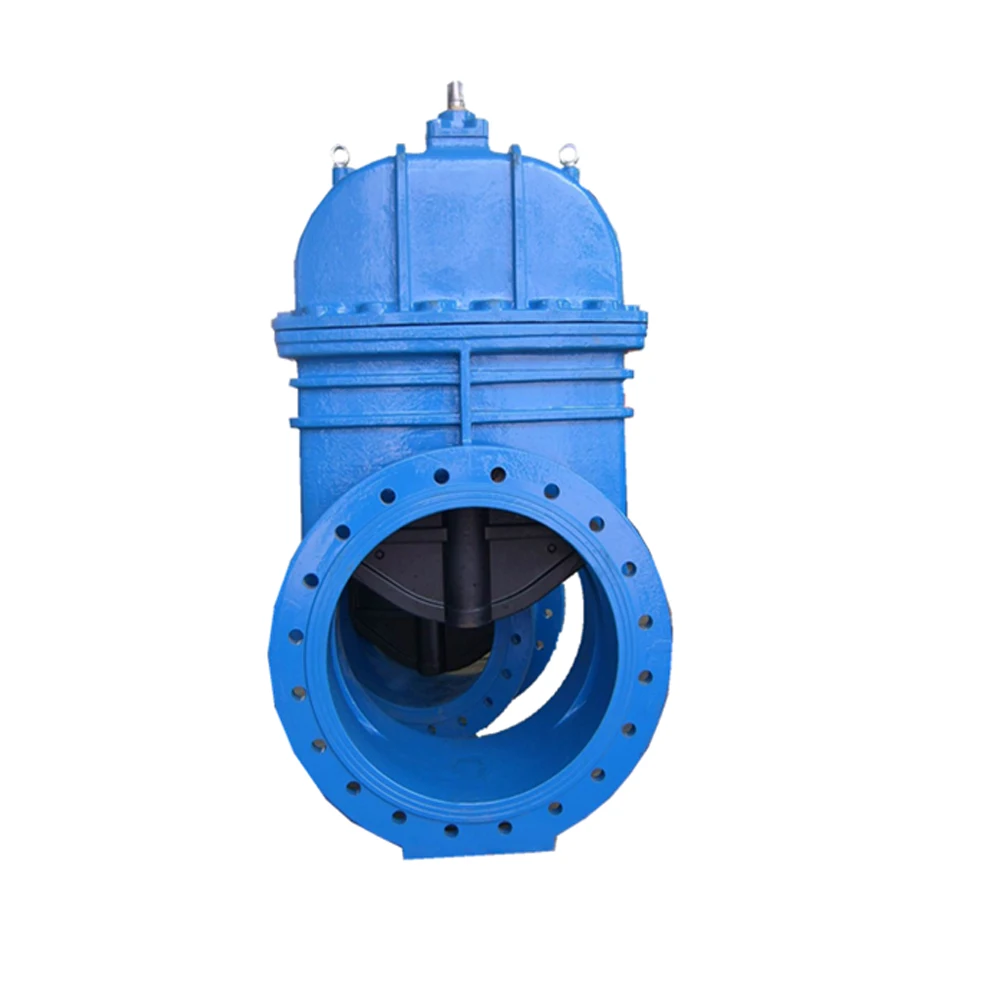  Моторизованный Железный затвор ducitle большого размера dn600 pn25