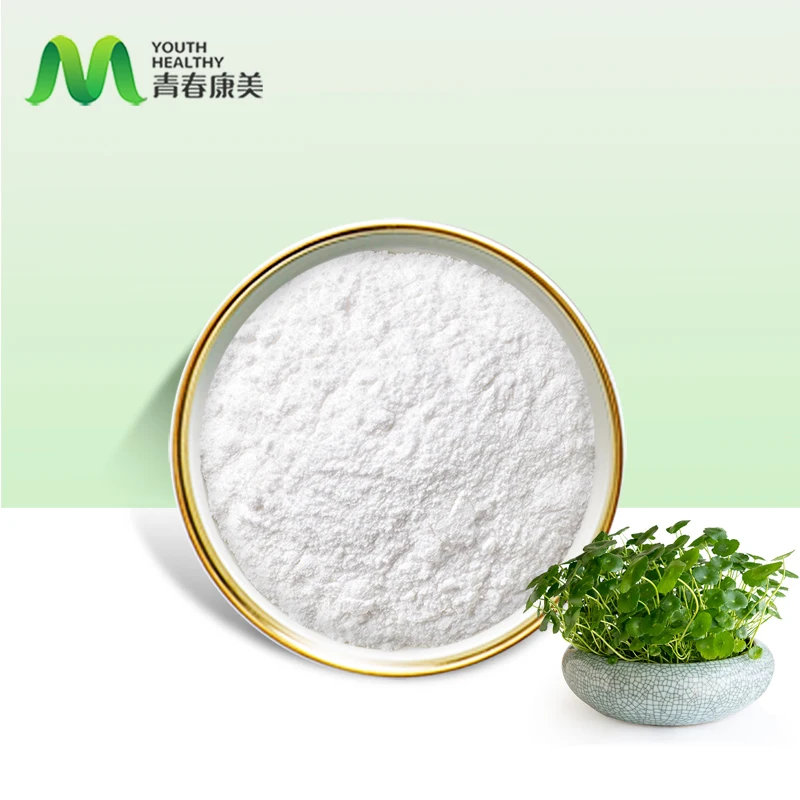 Centella Asiatica Extract Rejuvenating Gotu Kola Extract Powder