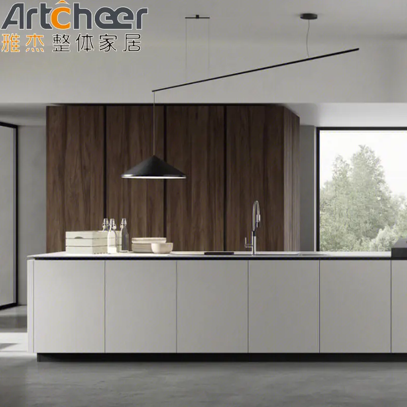 Wooden cabinets for kitchen china manufacturer compete set design