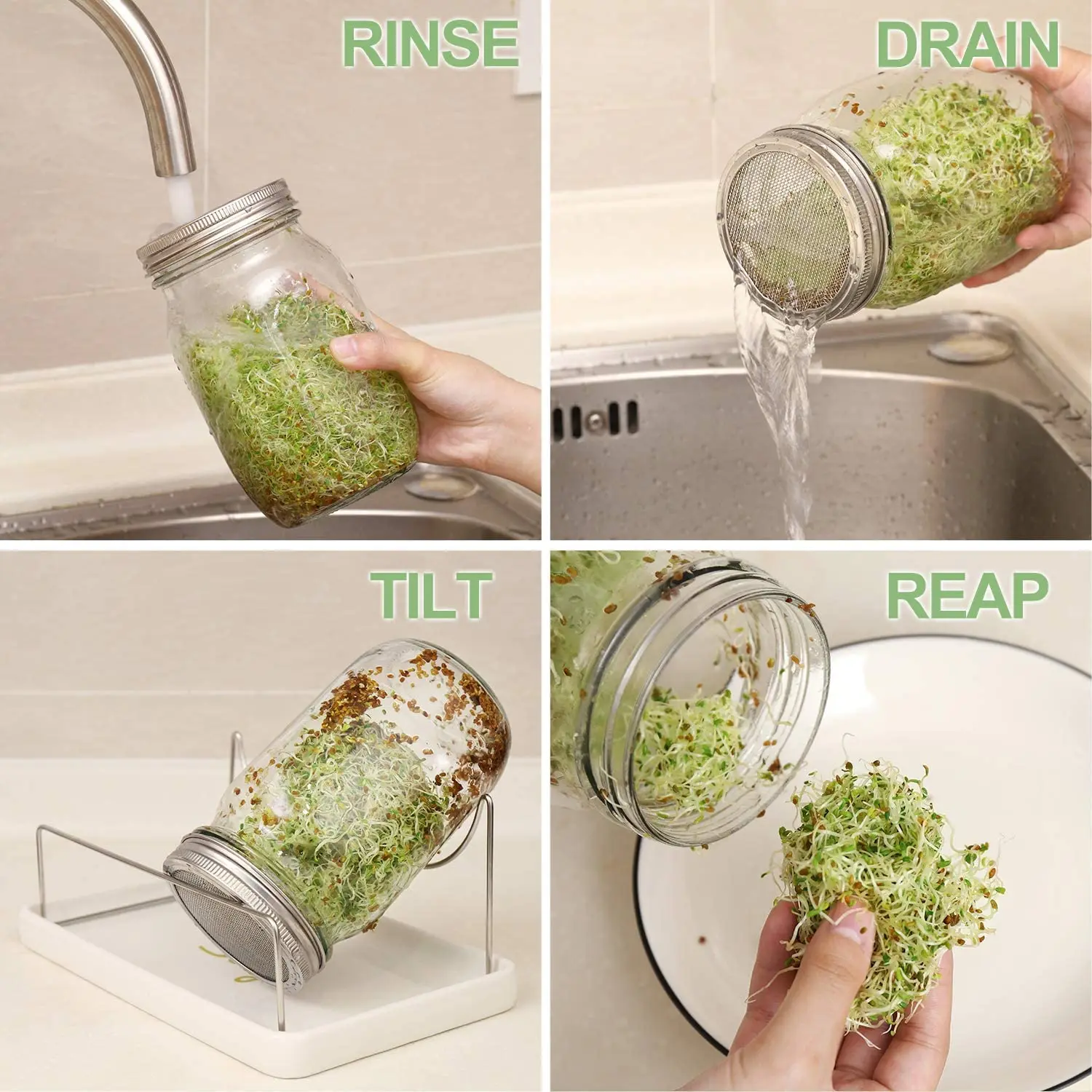 Complete Mason Jar Sprouting Kit - 2 Wide Mouth Quart Sprouting Jars with 316 Stainless Steel Sprouting Lids, Ceramic Drip Tray