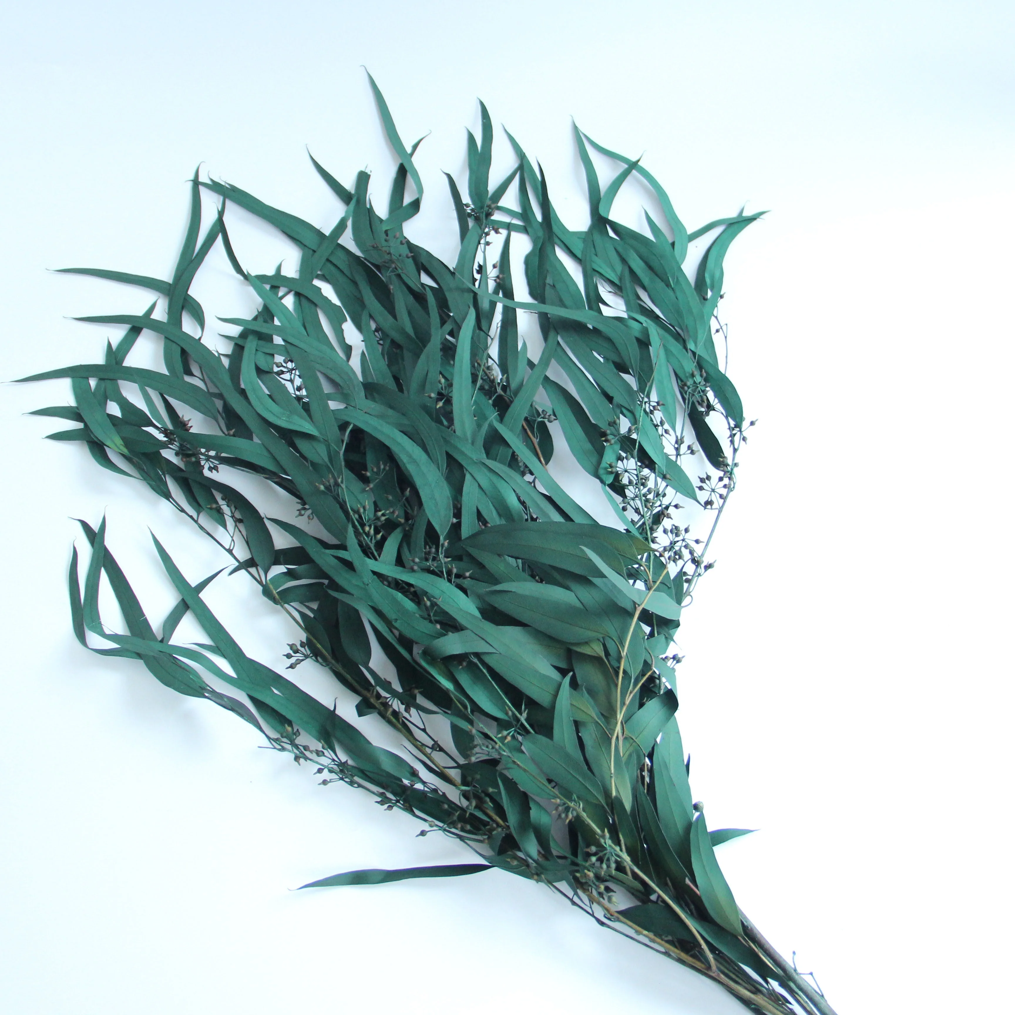 Small Preserved Long Stem Dried Flowers Eucalyptus Leaves Fruit Millet Fruit Fine Leaf For Home Party Festival Decoration