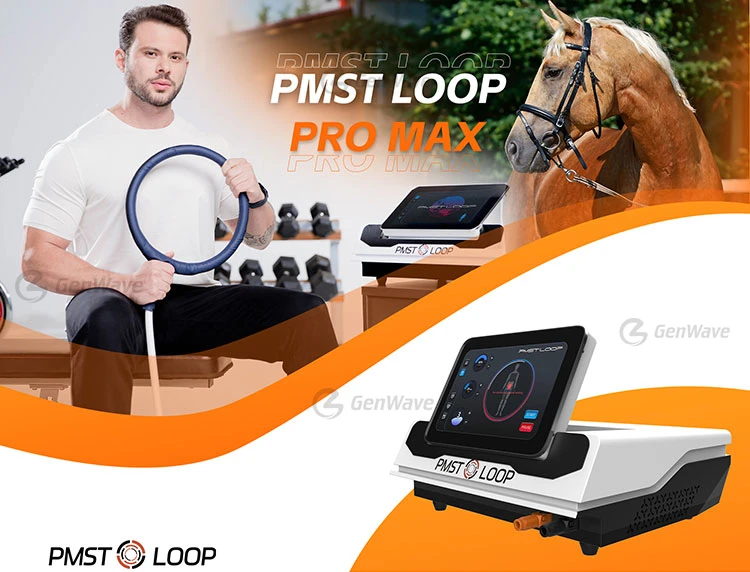MED Therapy Pulse Physio Magneto Pain Remove PMST LOOP PRO MAX  Equine LOOP PEMF Machines Magnetic Body Massage Mat Therapy