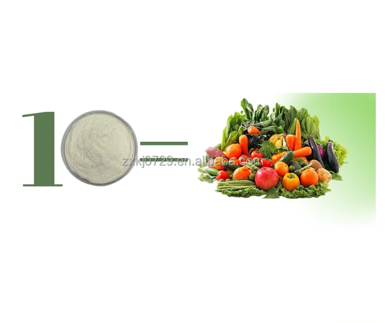 Water soluble fast full fiber dietary fruit and vegetable fiber powder healthy additive food standard