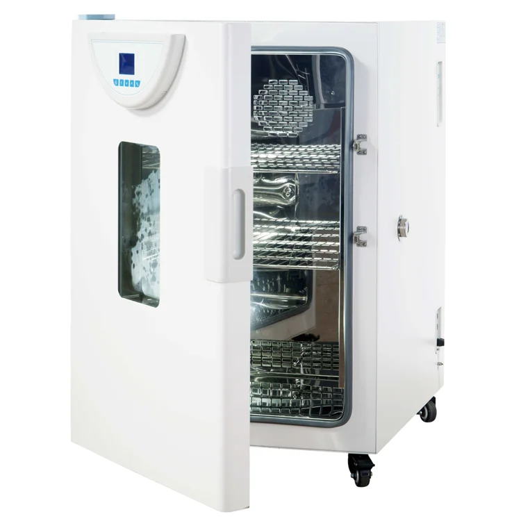 
Precision microbiological bacteria heating incubator for laboratory 