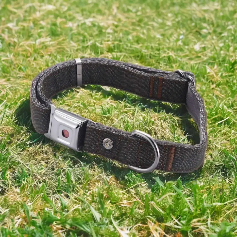 metal plastic buckle pet collar breakaway colortranspare