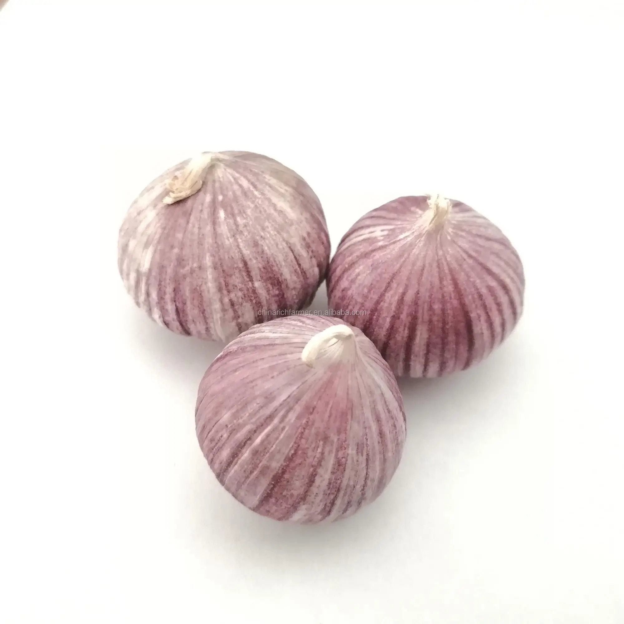 China Origin Factory Supplier Wholesale High Quality Cheap Price of Fresh White Garlic
