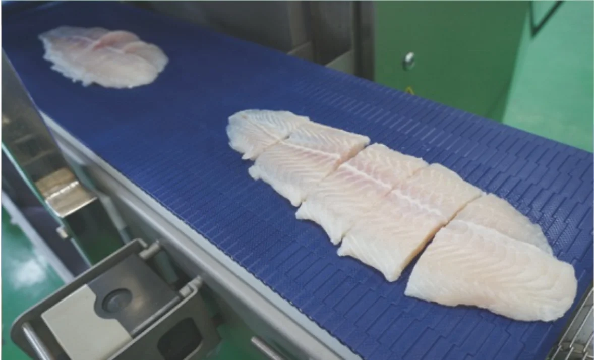 meat portion cutter machine for chicken meat and fish CUT28