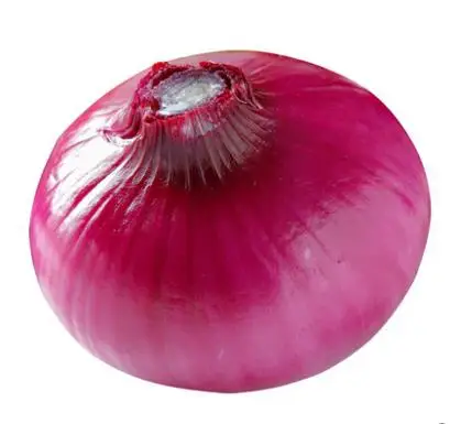 yellow onion price ton on fresh red onions for sale by onion suppliers