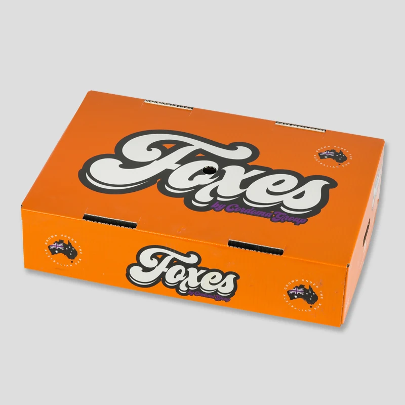 PE Box Low Price Customized Anti-static PE Plastic Storage Box  Wax coated cardboard box for fruit and vegetable packaging