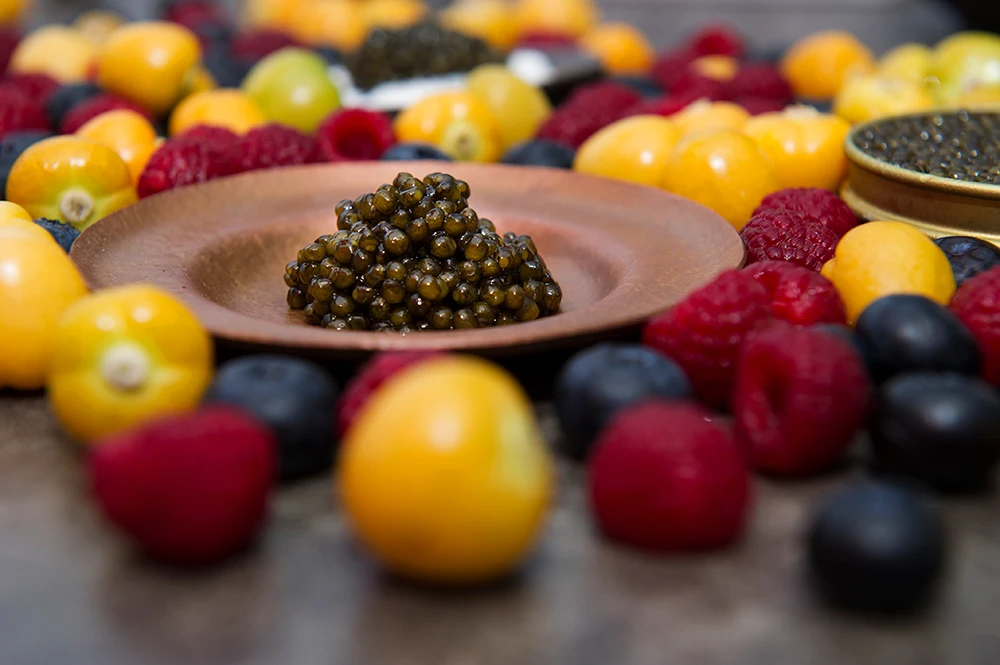 Factory direct sale high quality 100g KalugaQueen High Grade Hybrid Sturgeon Caviar