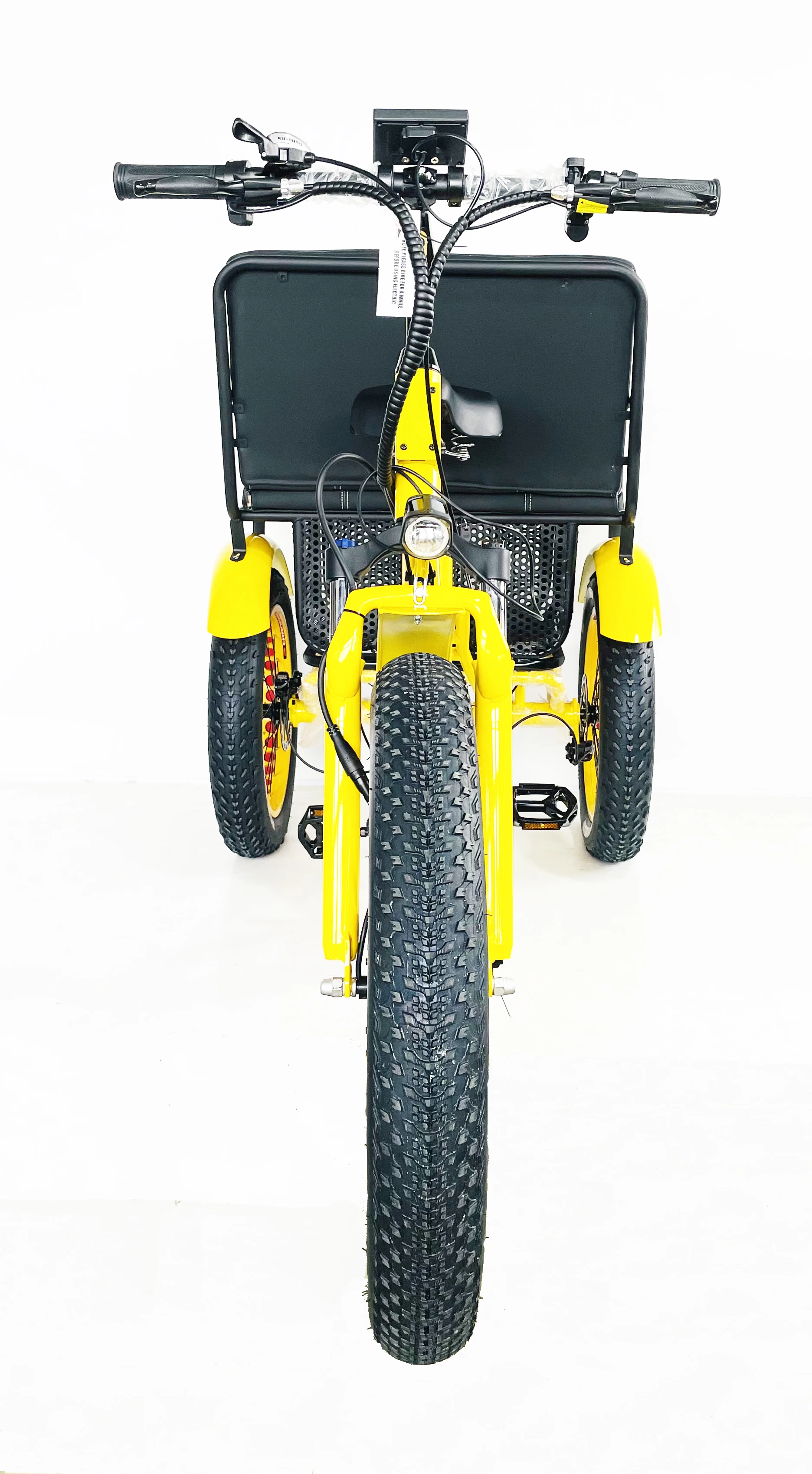 24Inch *4.0 Snow fat tire 48V 750W 21AH OEM Rear Seat two people 3 wheels Electric Rickshaw Tricycle