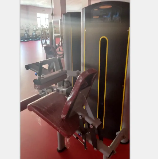 High Quality Gym Equipment Adjustable Dumbbell Sit Up Commercial Customized Body-Solid Supine Leg Curl Extension Gym machines