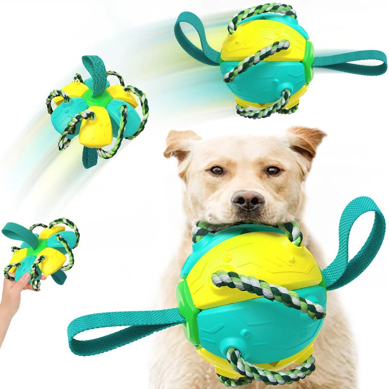 High Quality Shape Changing Ball Toy Outdoor Training Foldable Flying Disc Interactive Dog Toys