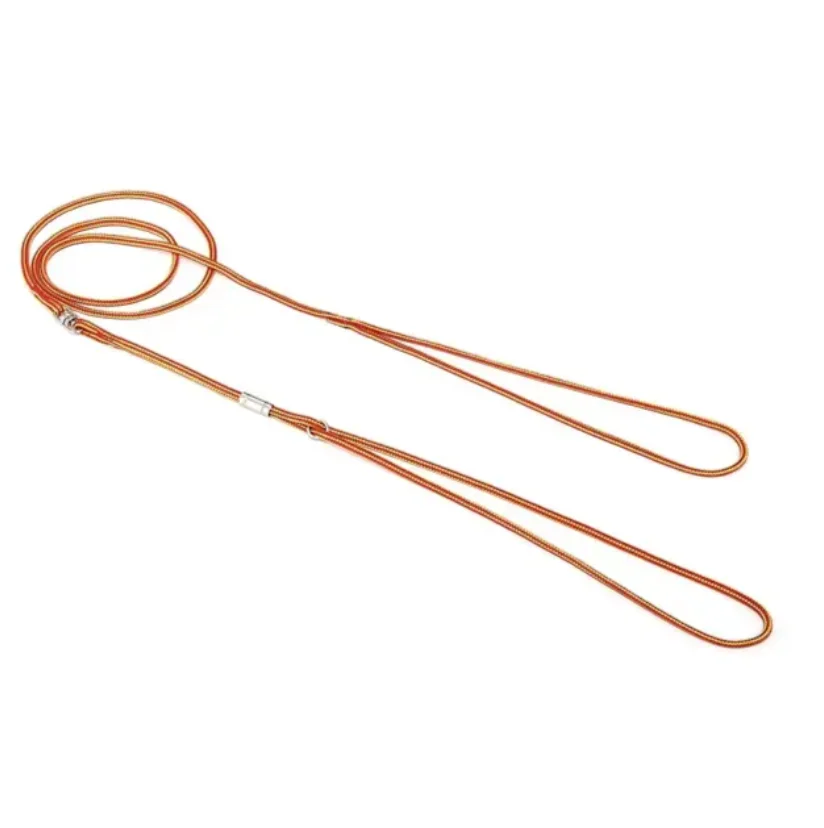 Pet Supplies Leashes Excellent Quality Nylon Round And Flat Knitting Show Lead Trendy Pet Leash