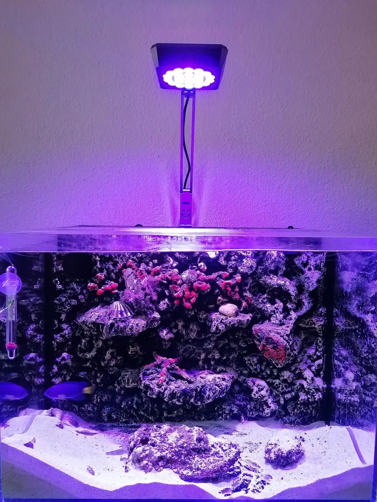 2024 MICMOl 60W THOR Marine WRGB Full Spectrum App Control LED Aquarium Light for Freshwater Reef Aquarium Aquascaping