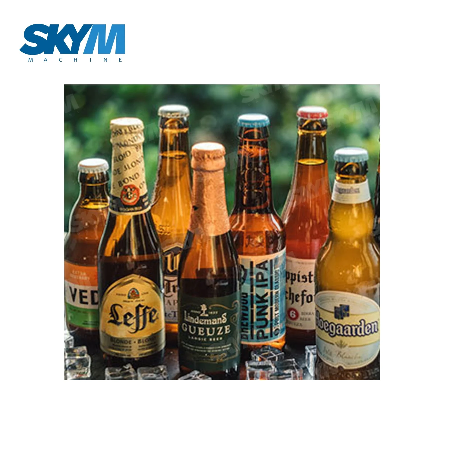 Semi-Automatic Bottling Equipment Bottle Washing Filling Capping Machine For Beer Brewery Carbonated Drinks Soda Water