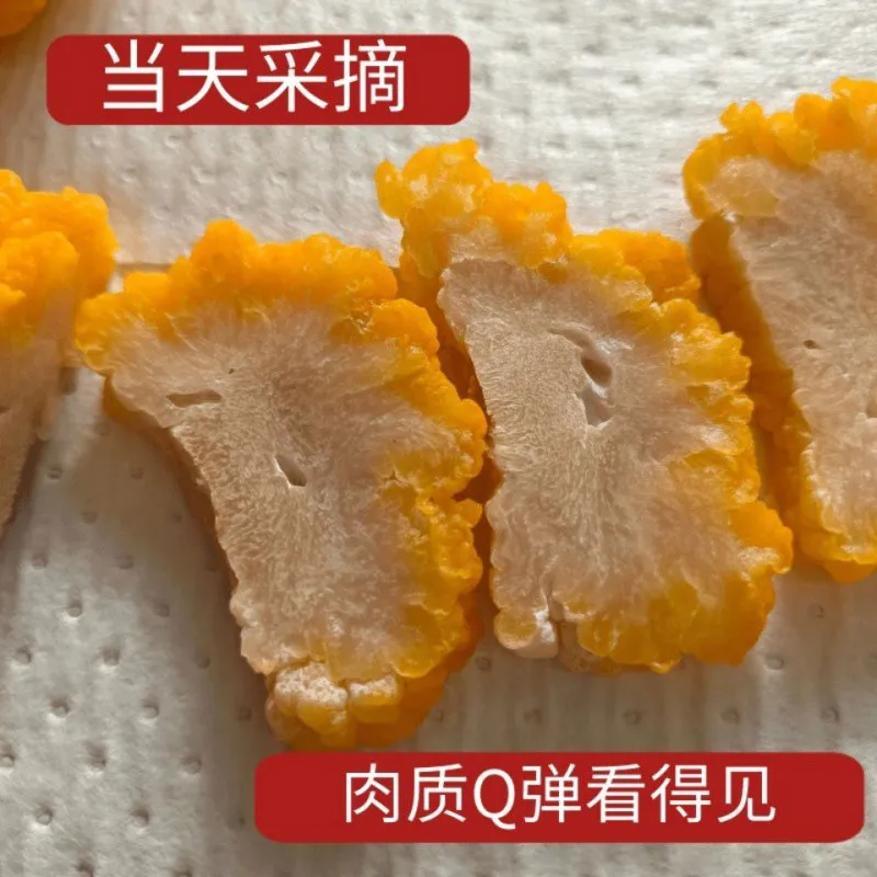 1KG Loose Golden-ear Fungus Jin Er Natural Raw Dried Golden Ear Mushroom for Food