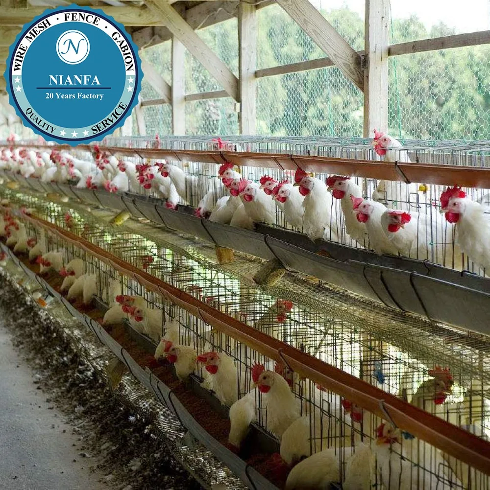 Guangzhou Thick Hot Galvanized Chicken Breeding Cage for Layer Chicken