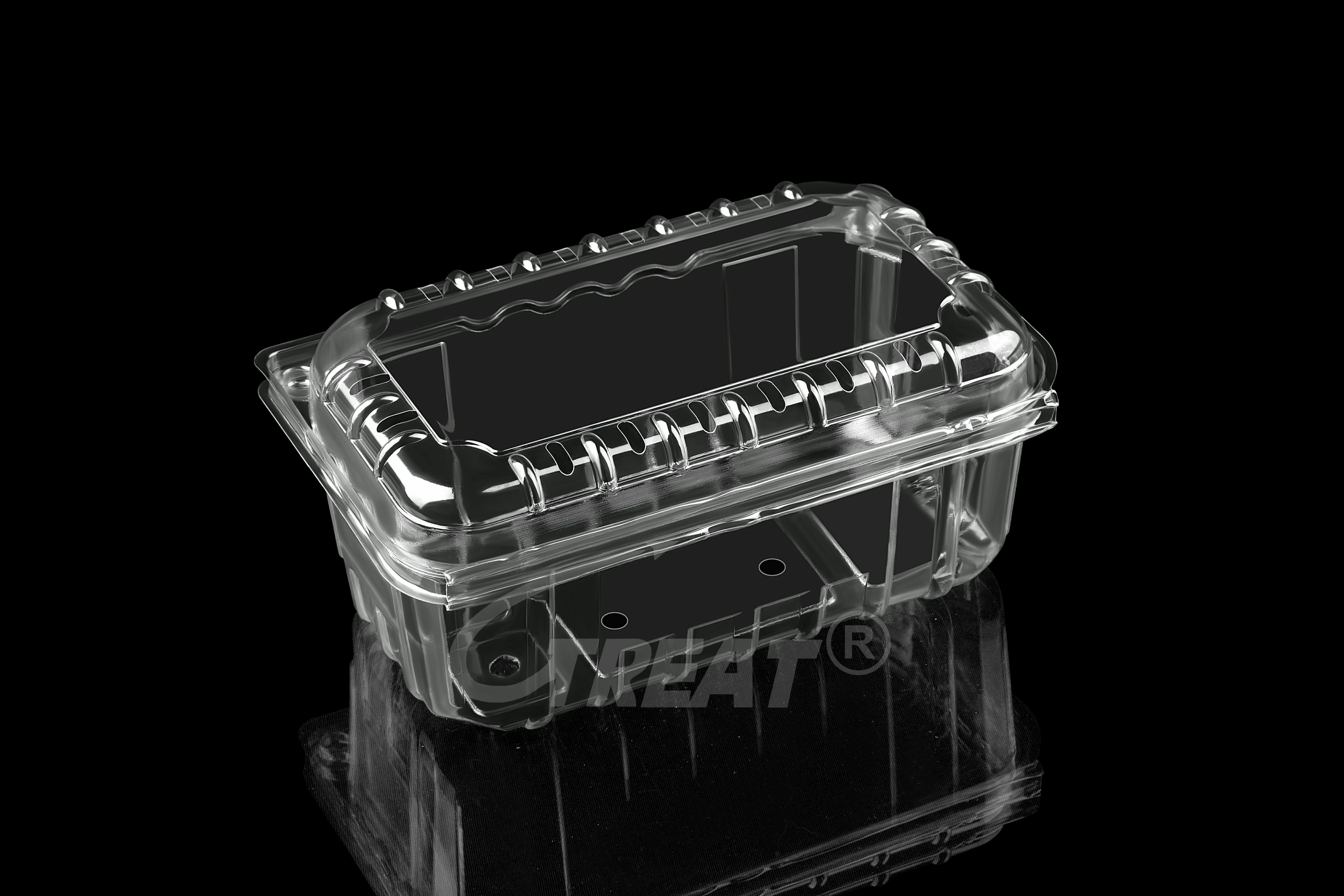 PET Plastic Fruit and Vegetable clamshell packaging Berries and Other Produce Storage container