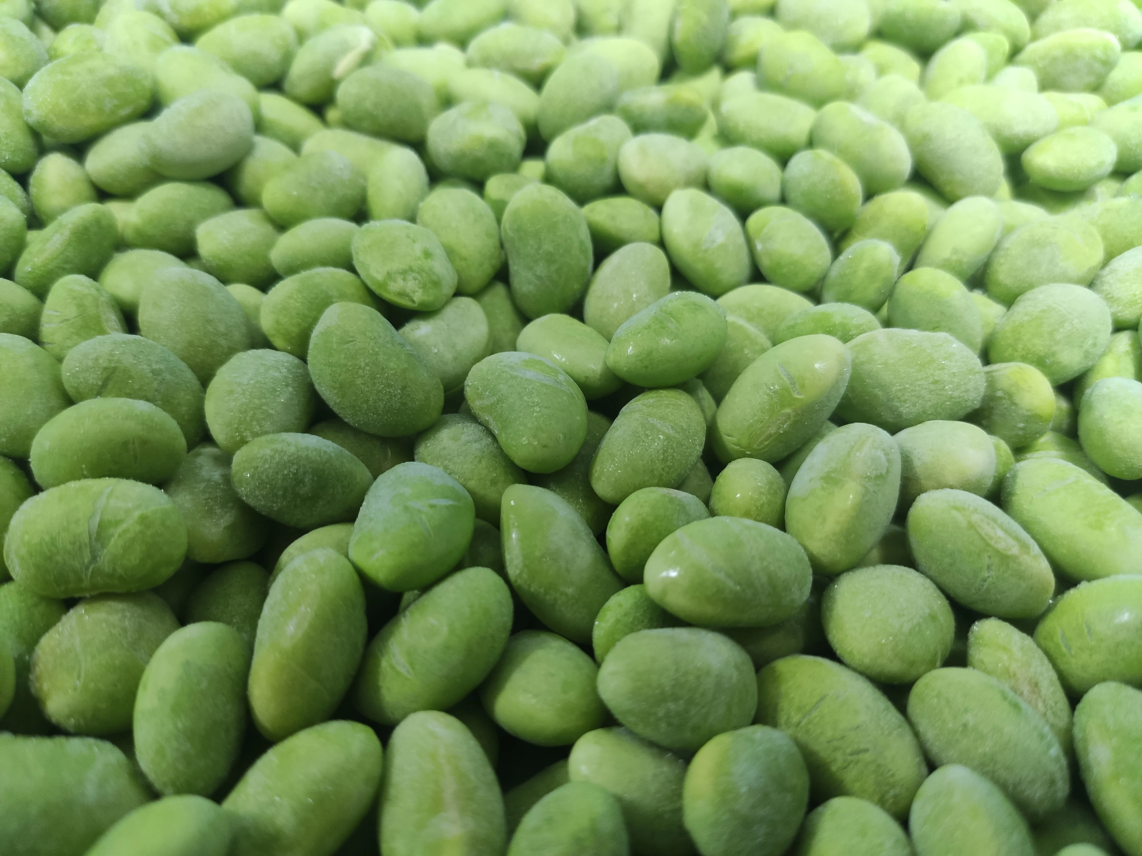 iqf frozen edamame pods