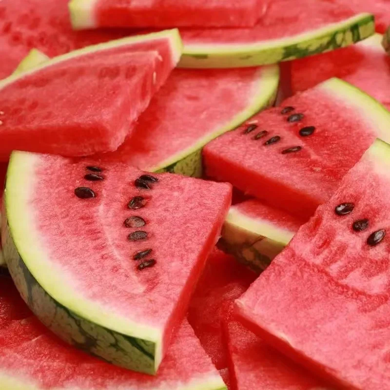Fresh Seasonal Fruits Vietnamese Watermelons Picked Freshly Sweetened Fresh Watermelons