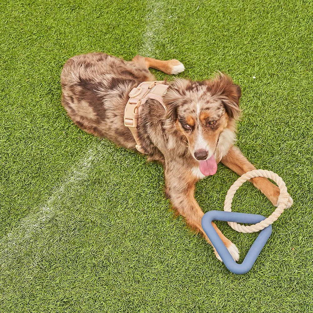 Triangle Tug Pet Dog Toy bite resistant TPR Material Durable Pet Dog Interactive Chew Rope Toy for Medium and Large Breeds