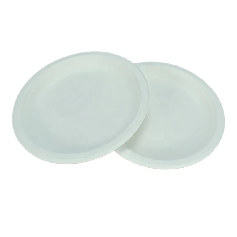 Disposable Eco-friendly 100% biodegradable Raw Material for Buffet New Year Party Sturdy Paper Plate