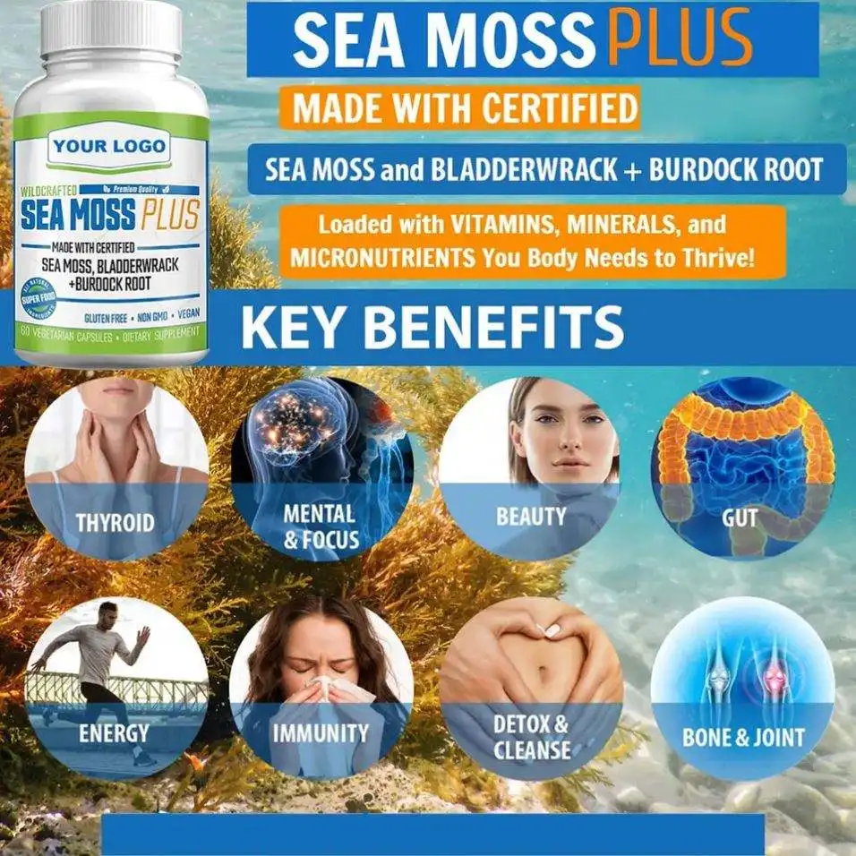 Private Labels Sea Moss Capsules Energy Support