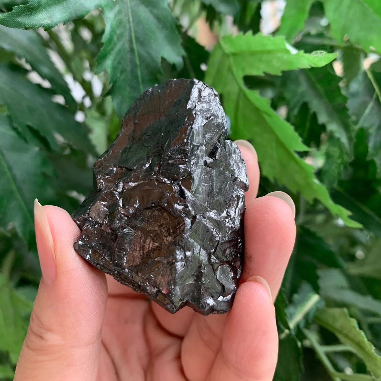 Natural A Grade Raw Black Shungite EMF Protection Russian Natural Healing Stone from Karelia with Free Bag