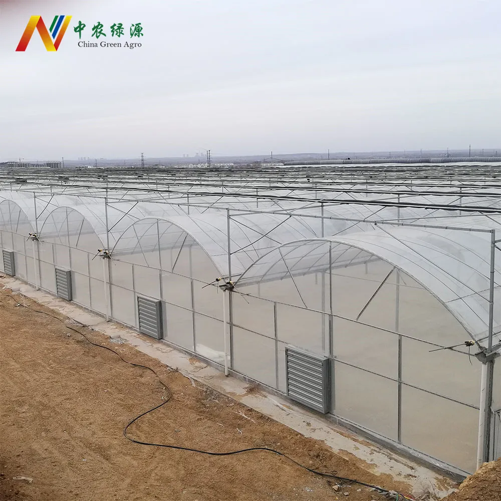 
China type plastic film high tunnels saw tooth greenhouse for good ventilation Resistant To Snow Industrial greenhouse farming 