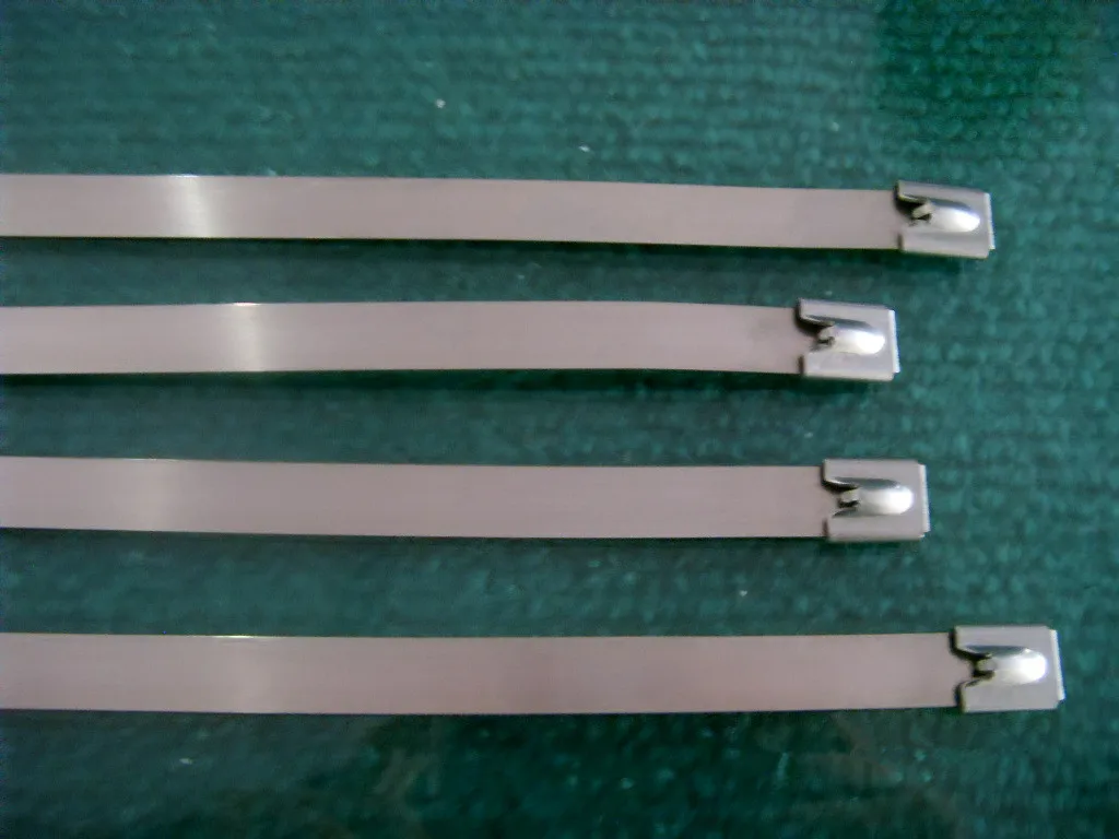 Stainless Steel Cable Ties
