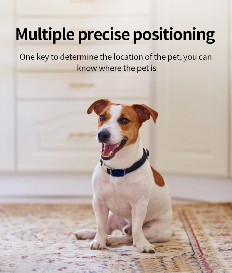 pet technology smart GPS waterproof locator mini wireless collar tracker with APP