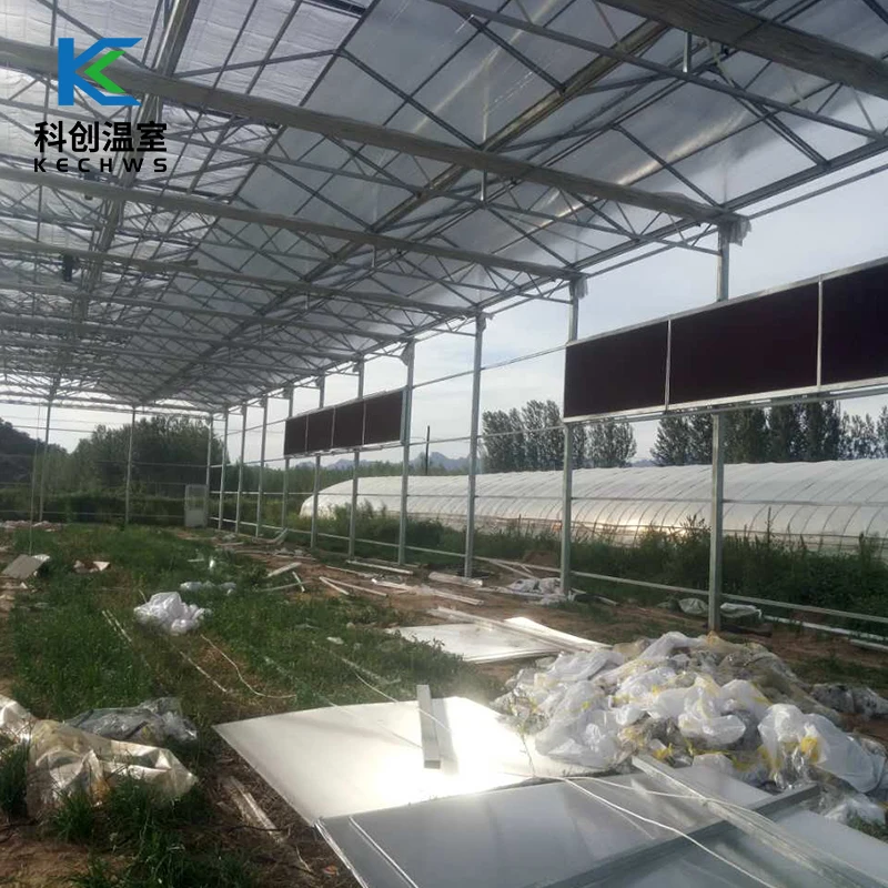 High Quality Low Price Film Energy Saving Solar Greenhouse